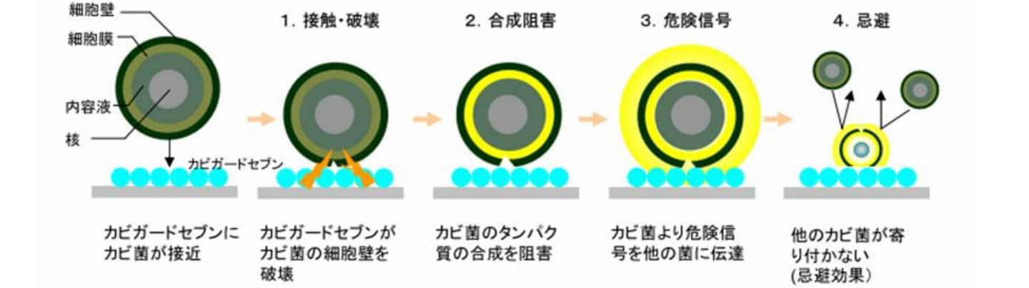 カビガードセブンの防カビのメカニズム